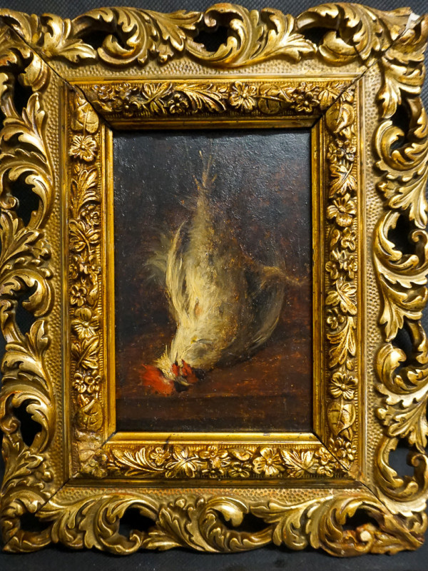 Gallo
